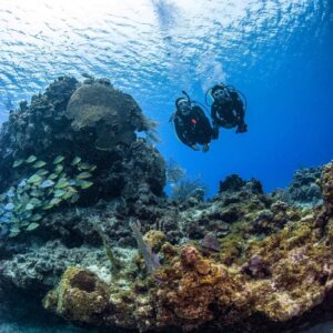 Discover Scuba Diving photos